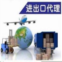 进出口代理服务 助力企业高效完成货物进出口