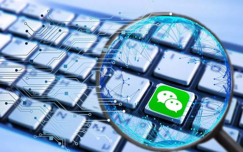 网络推广渠道全解析 从营销渠道到文化经营的多维实践