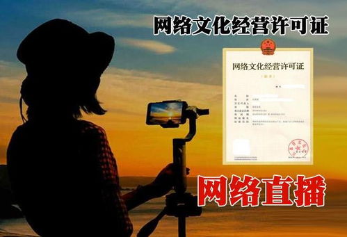 北京顺义区网络文化经营许可证代办费用详解与急速办理指南
