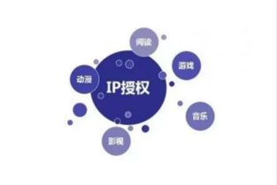 《新疆味道》 一部纪录片的网络文化创作与市场运营之道