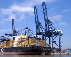 广州升月进出口贸易 高效助力全球货物流动